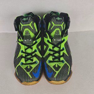 Nike LeBron James high tops